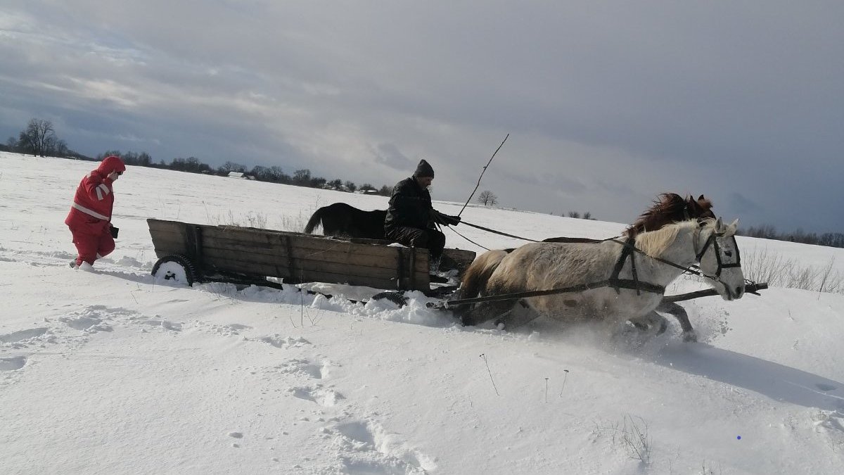 Під Житомиром медики не змогли дістатись до хворої дівчини: в лікарню її везли на возі